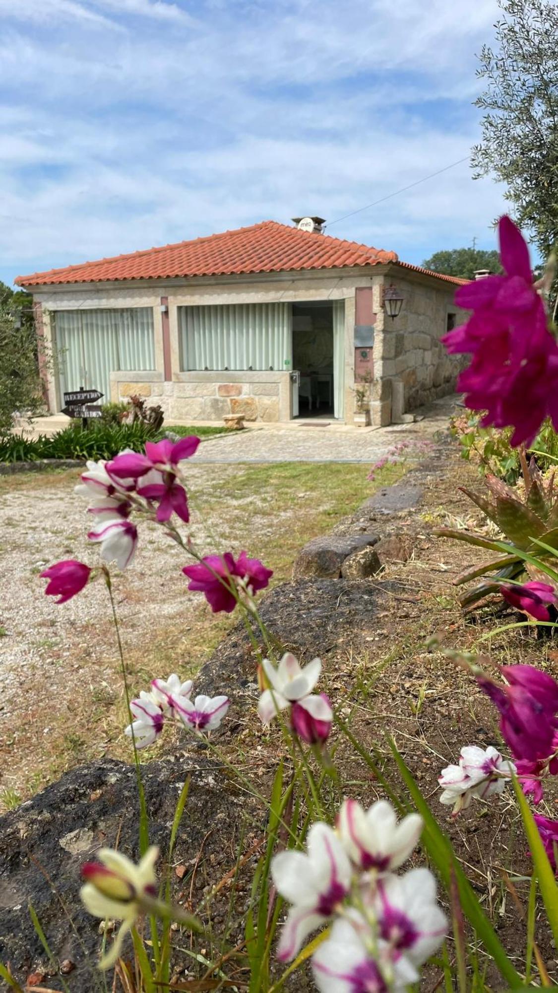 Quinta De Villasete Alpendurada Exterior foto